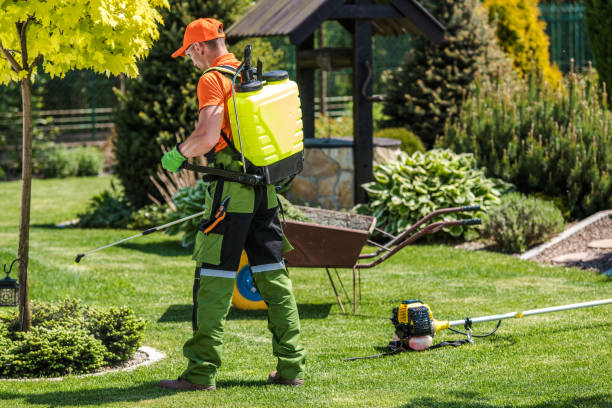 Best Bee and Wasp Removal  in Pleasant Hills, PA